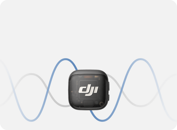 Dual Band Anti-Interference, Lossless Audio Transmission