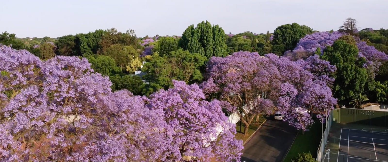 Joburg Like You've Never Seen It