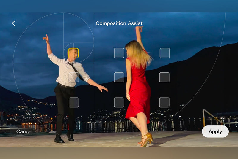 Composition Assist