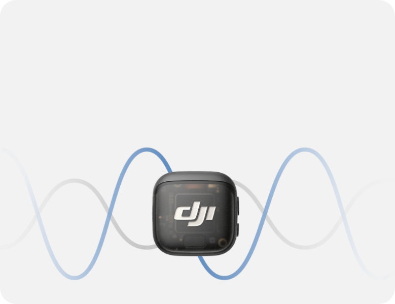 Dual Band Anti-Interference, Lossless Audio Transmission