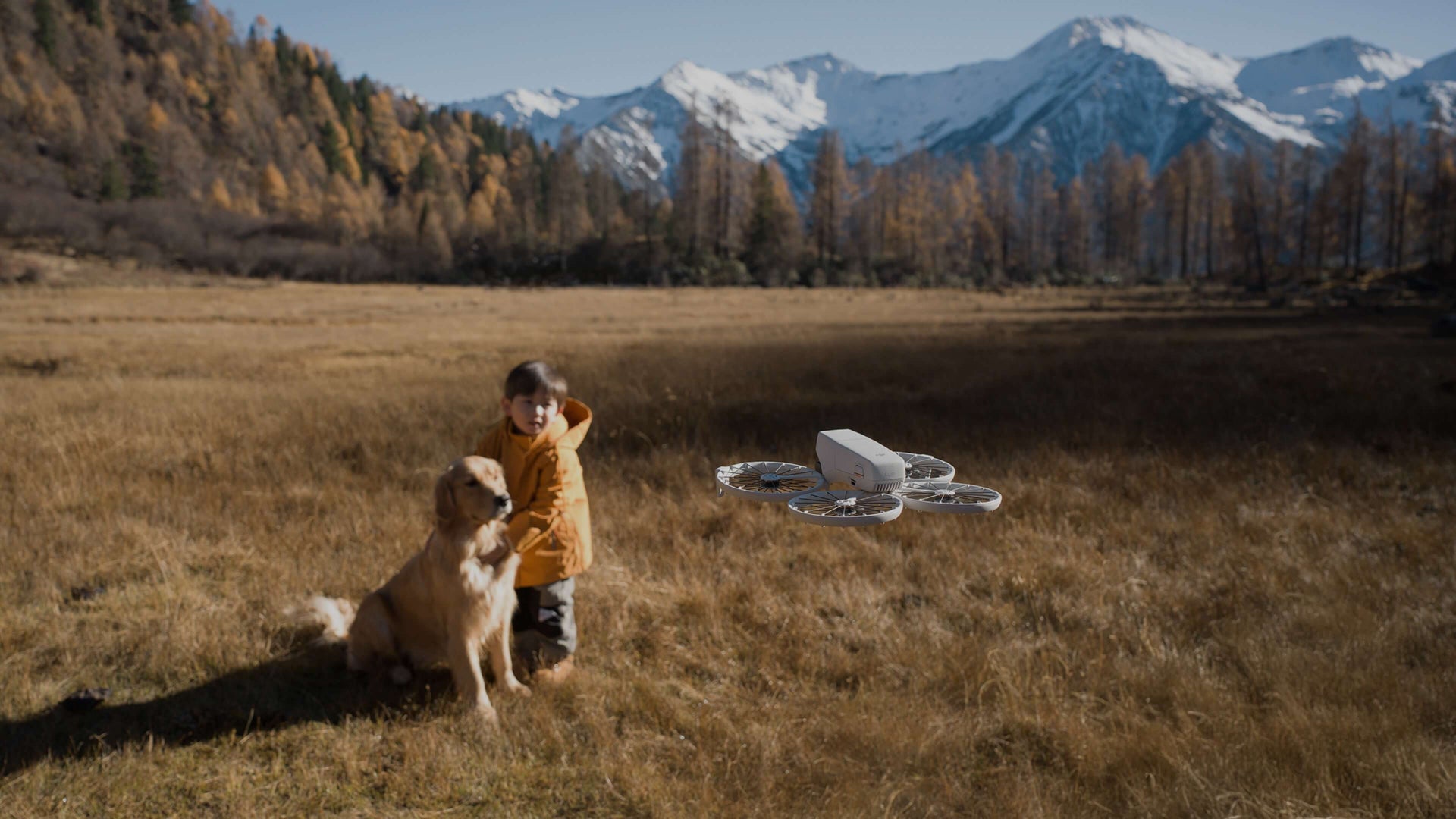 Foldable Full-Coverage Propeller Guard, Fly With Peace of Mind