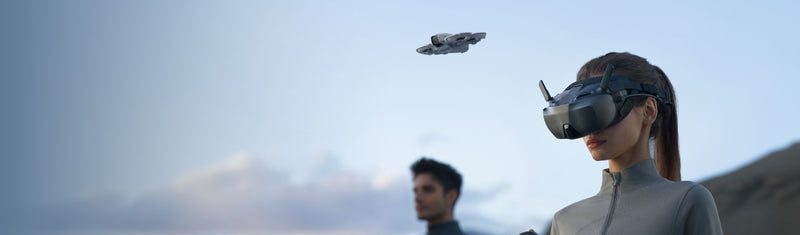 Immersive Flight