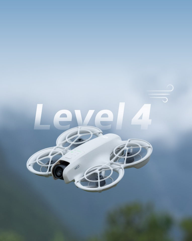 Level-4 Wind Resistance