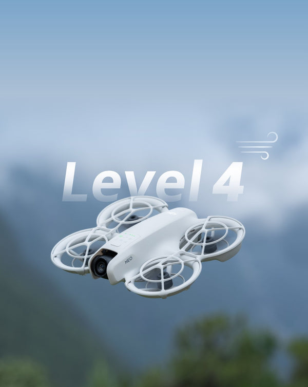 Level-4 Wind Resistance