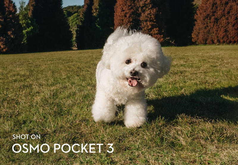 Quick, Stable, Accurate ShootingCapture Any Moment Shake-Free